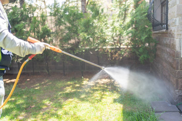 Best Cockroach Control Services  in Combine, TX