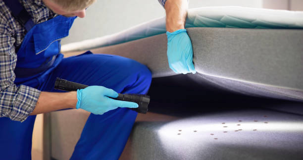 Best Best Pest Control Companies  in Combine, TX