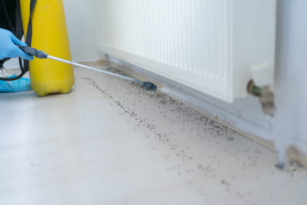 Best Commercial Pest Control Services  in Combine, TX