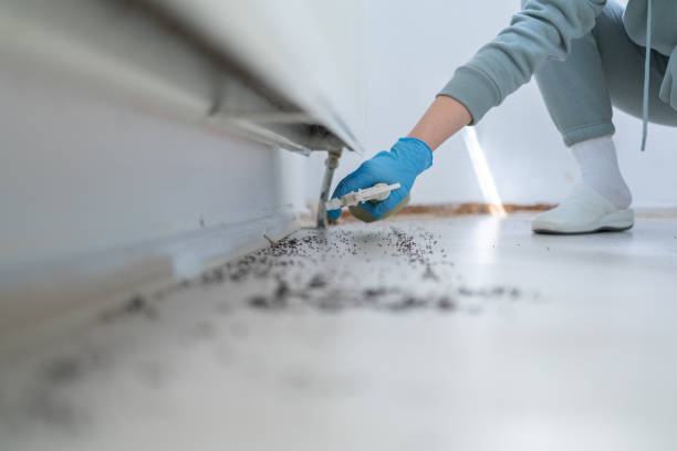 Reliable Combine, TX Pest Control Solutions
